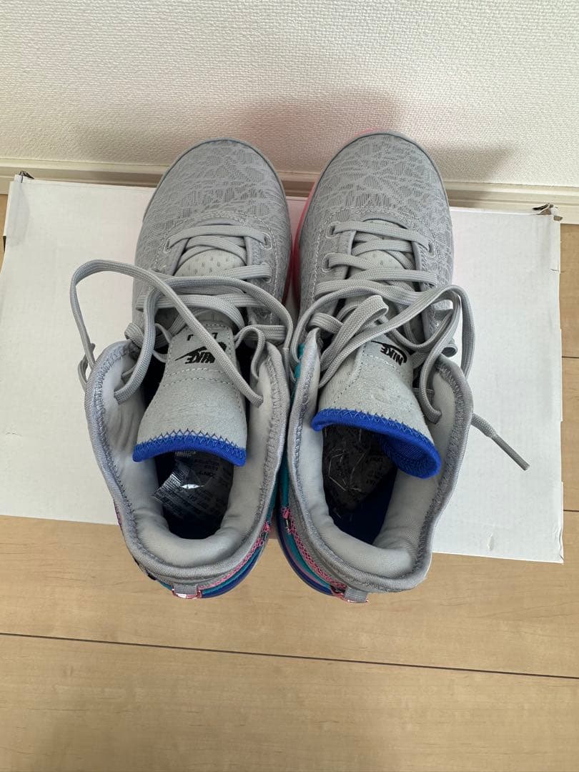 ZOOM LEBRON NXXT GEN ズームレブロンネクストジェネレーション