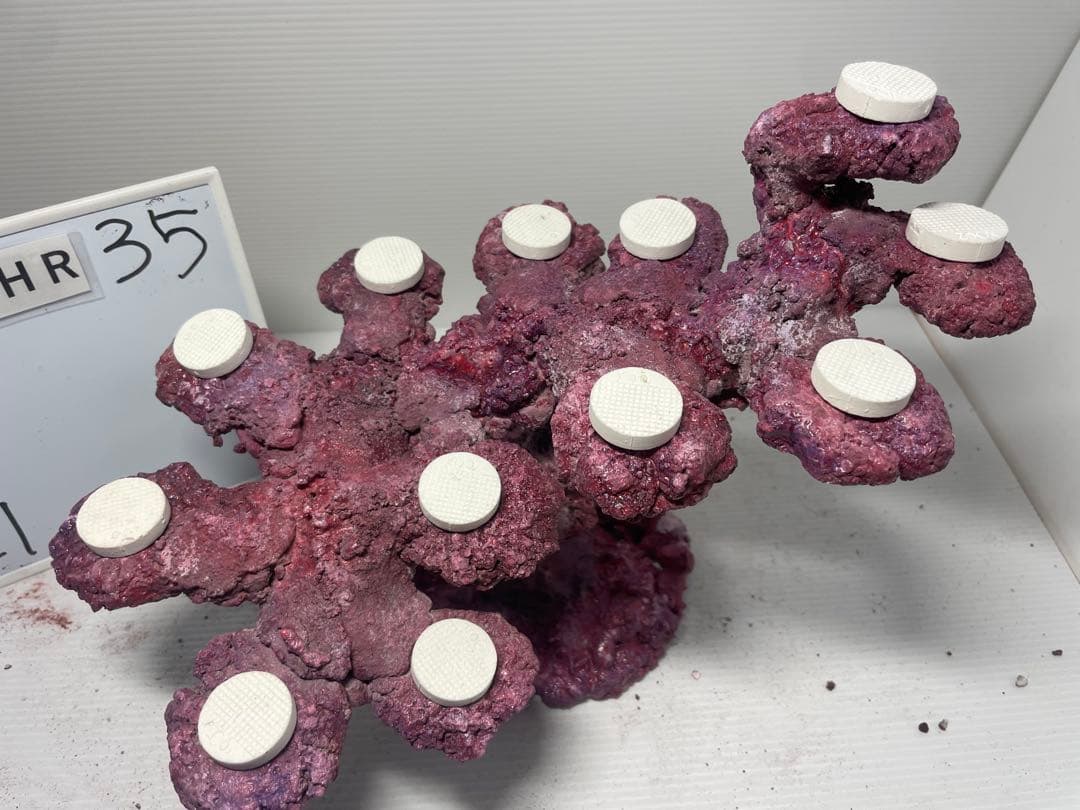 【送料無料】人工ライブロック　PHR35／12穴加工　アク抜き済み安心塗料使用