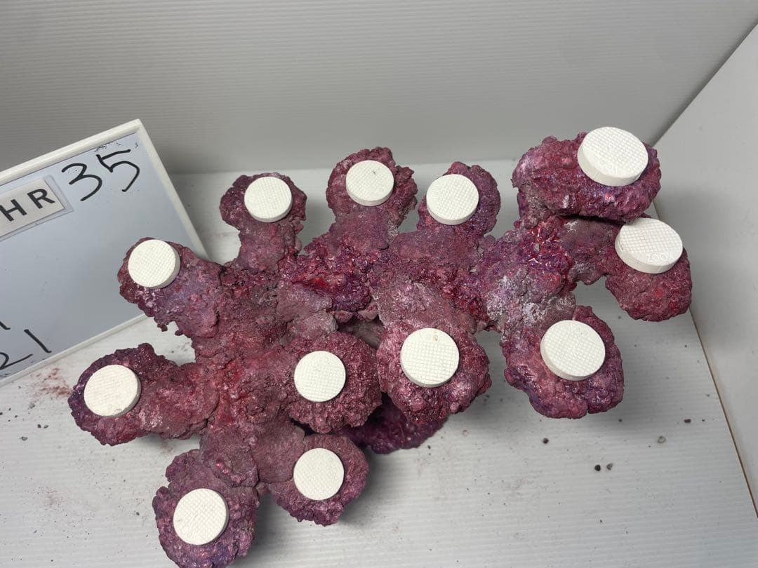 【送料無料】人工ライブロック　PHR35／12穴加工　アク抜き済み安心塗料使用