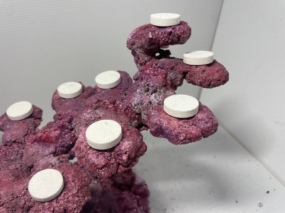 【送料無料】人工ライブロック　PHR35／12穴加工　アク抜き済み安心塗料使用