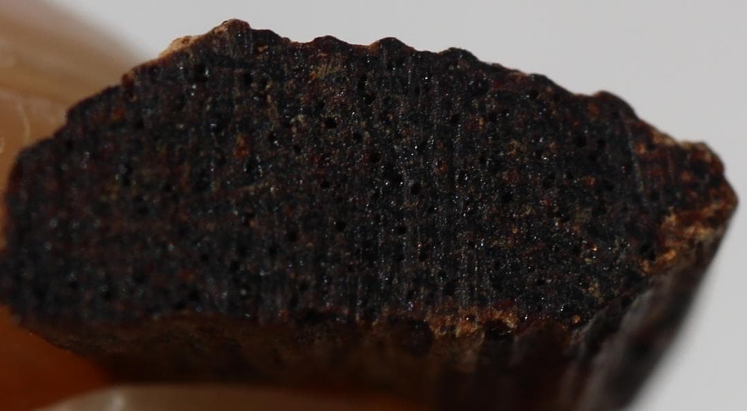 香木 古渡命銘木 「初音」約0.16g 小分け沈香 伽羅 奇南 奇楠 お香 香道