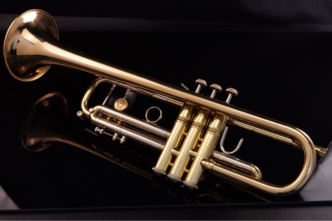 【選定品 メンテナンス済】 HOLTON T101 GB トランペット　ホルトン