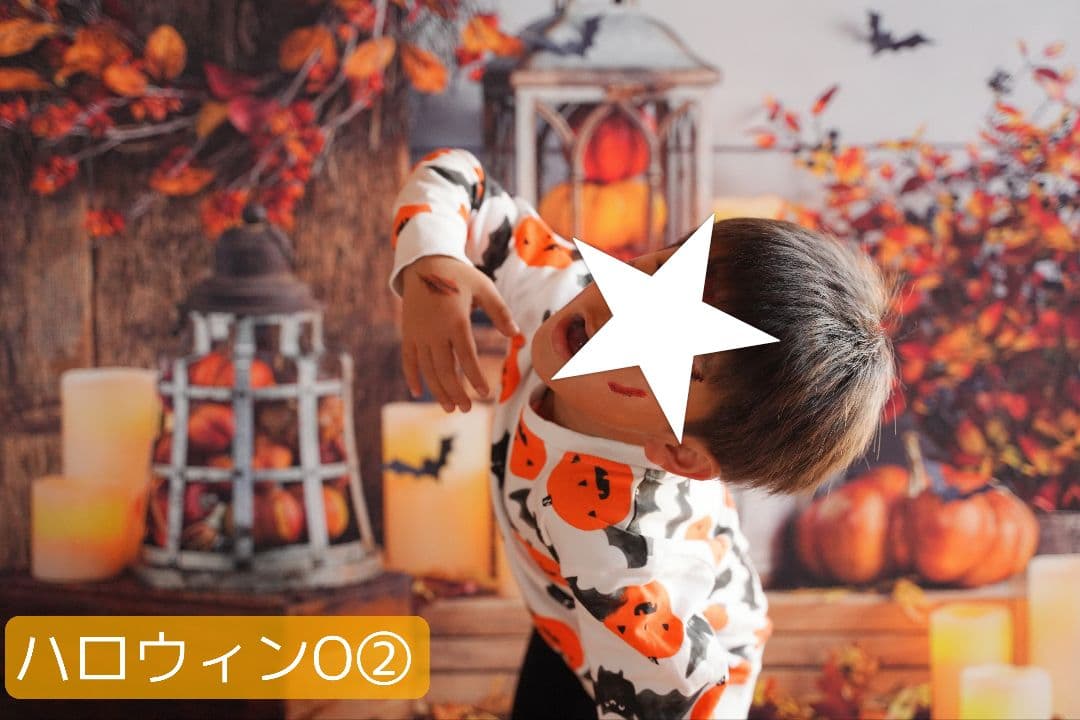 紅葉　背景布秋XD①　ペット撮影用　80×120cm　トリミングチョーカー販売中