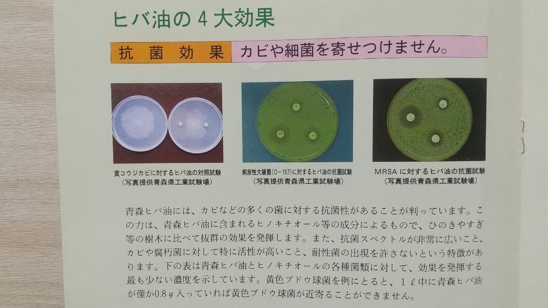 ヒノキオイル ※青森ヒバ油 (精油) 1100ml　虫よけ・抗菌・カビ予防 等