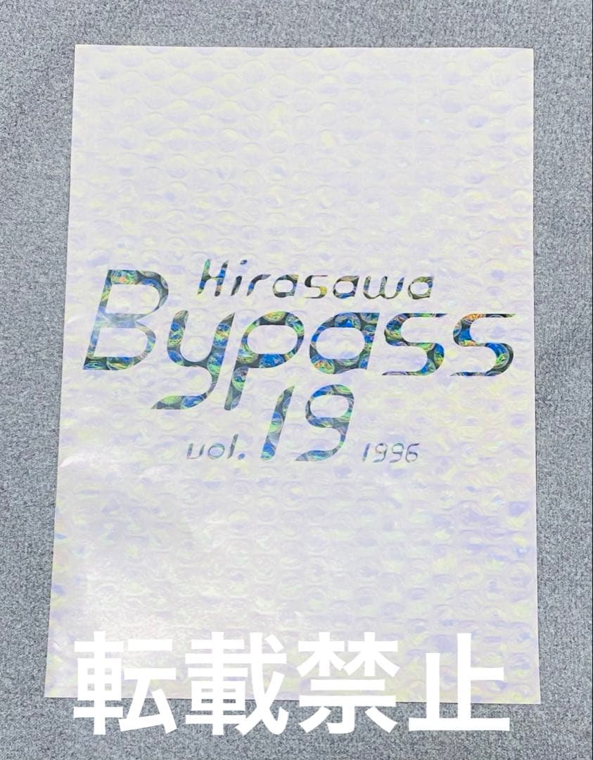 ミュージシャン Hirasawa Bypass vol. 18 19