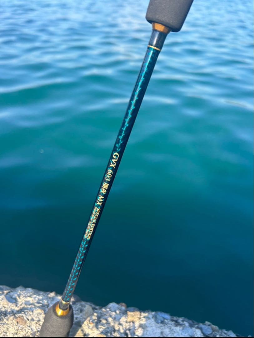 ZERO-G EVOLUTION GVX 603 闇夜 MX イカメタルロッド