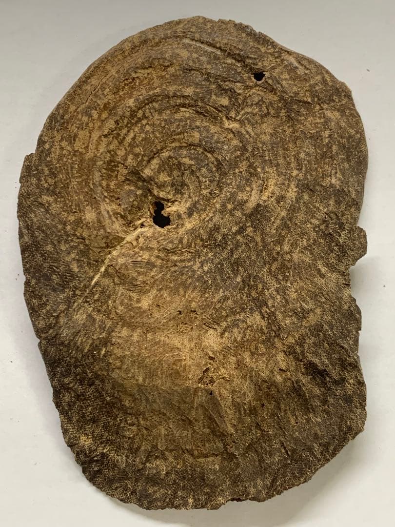 天然沈香 伽羅 香木 沈香線香 沈香精油