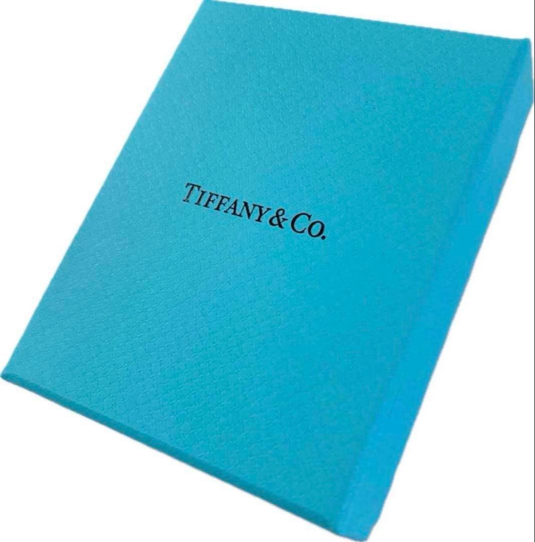 現行品　Tiffanyティファニー　空箱　巾着　取扱説明書　13