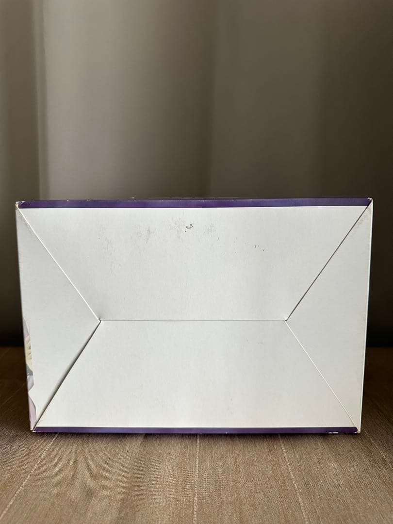 Fate/stay night ライダー 1/8 完成品フィギュア