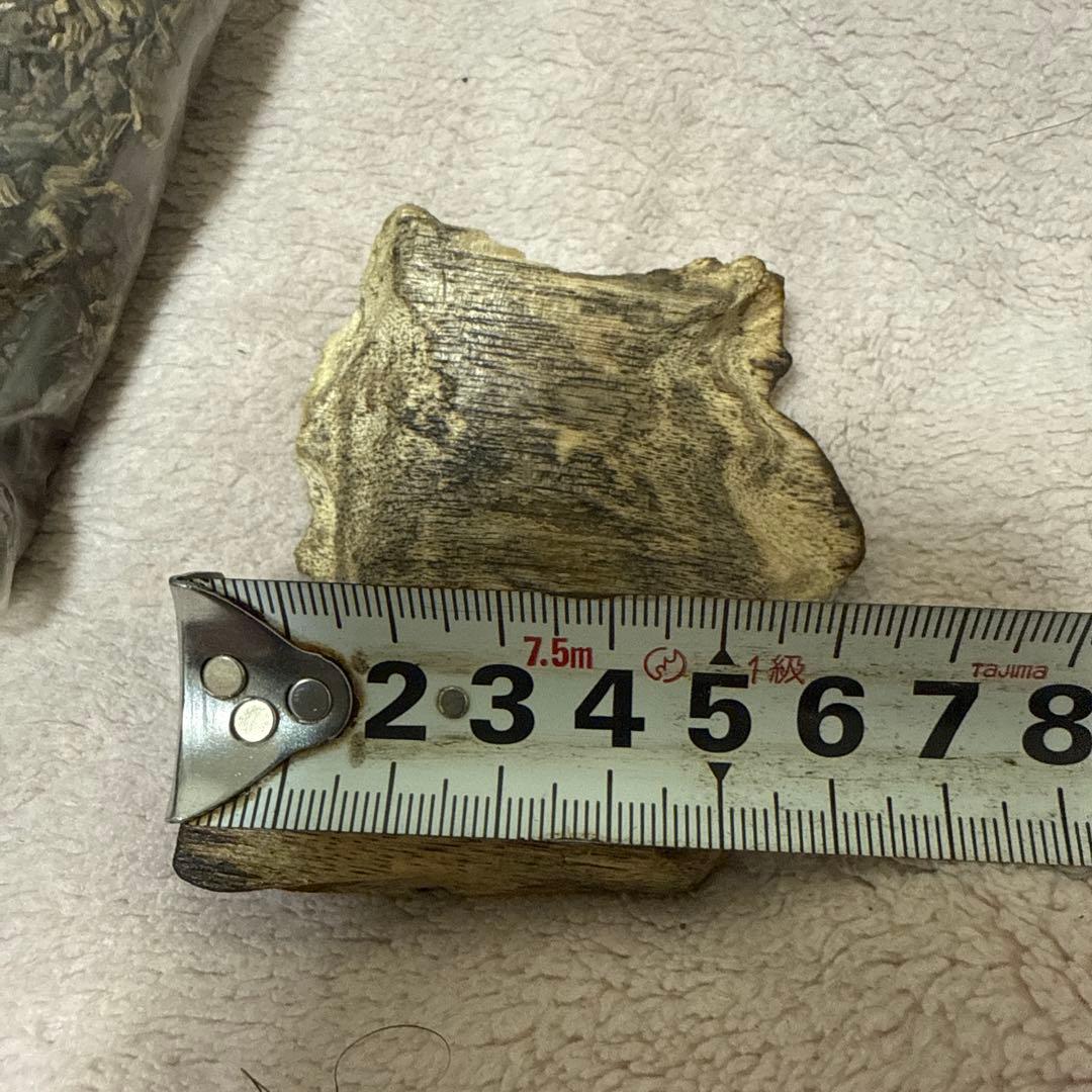 沉香 香木の琹 香道具 佛香