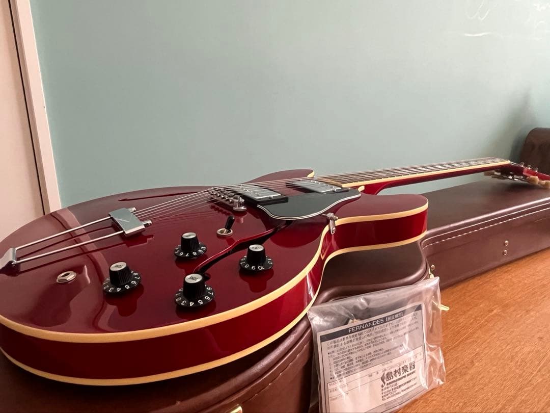 Burny バーニー RSA70ブランコテールピース　セミアコ　ハードケース付