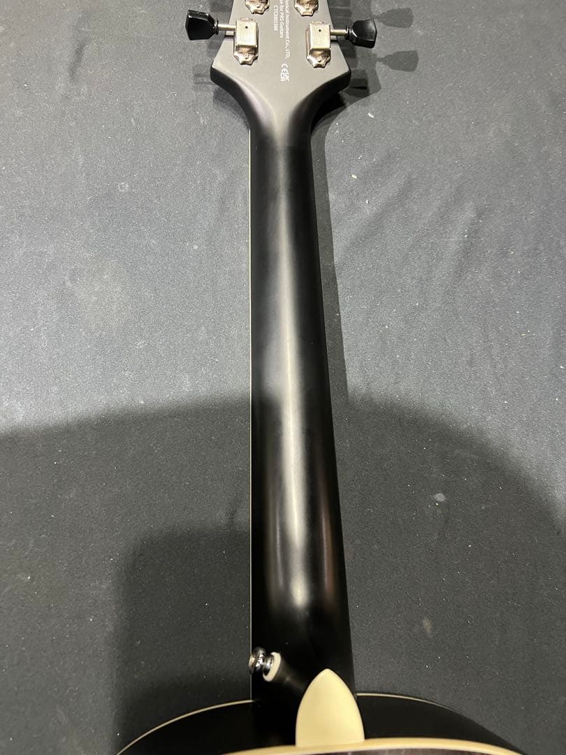 Paul reed smith P20E Doghair 美品
