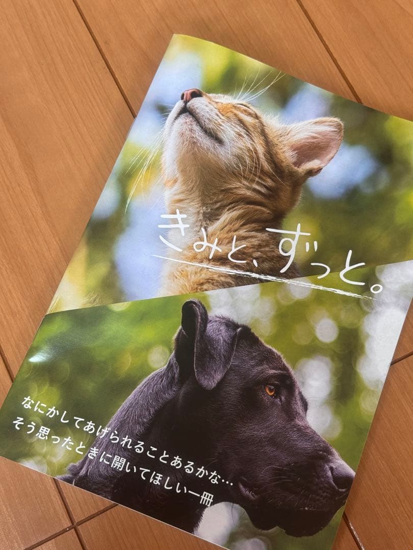 ⭐️コルディG 犬・猫用サプリメント 100g 新品未使用⭐️リーフレット付き