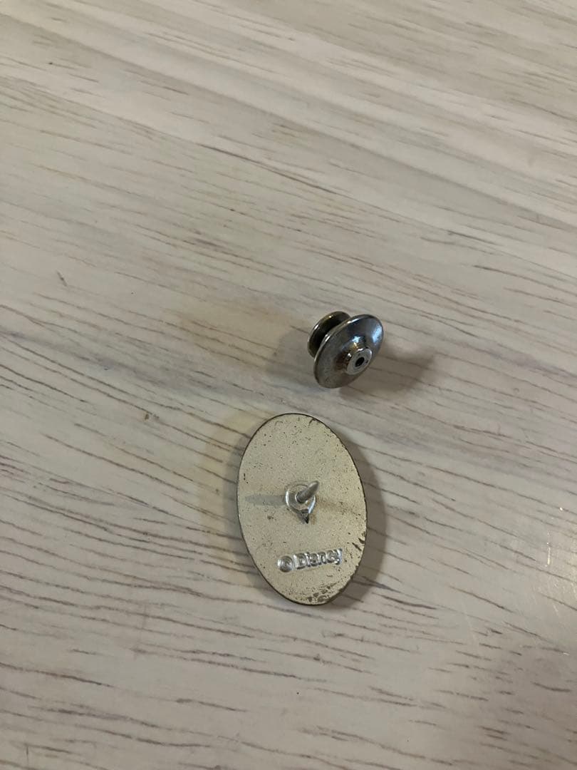 【セール】希少⭐︎ ディズニー キャスト スピリット・アワードピン 非売品