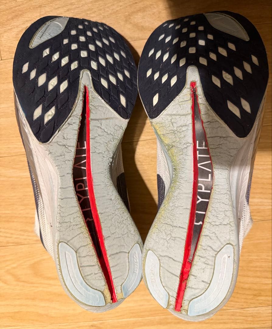 NIKE ストリークフライ2 25.5