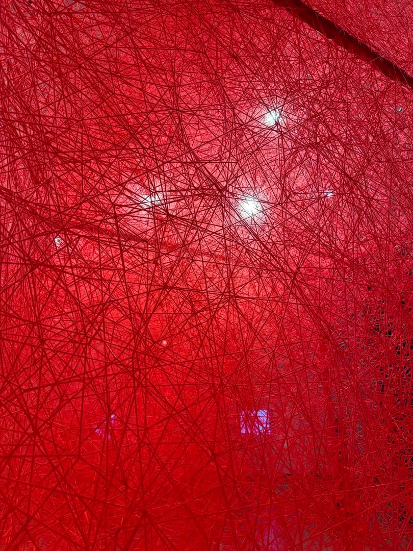 稀少品・新品未使用。塩田千春　つながる私(アイ) アイコニックアートバッグ