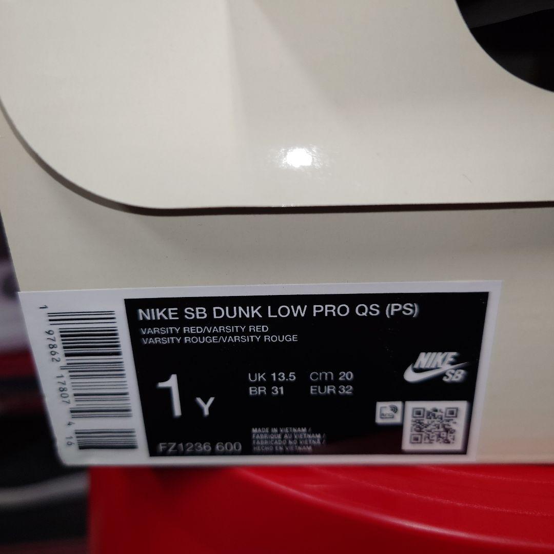 ✨TheWizardofOz × SBPSDunkLowPoppyField✨