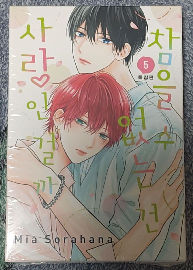 たまらないのは恋なのか　佐々木と宮野　世界一初恋　リキューレ小冊子