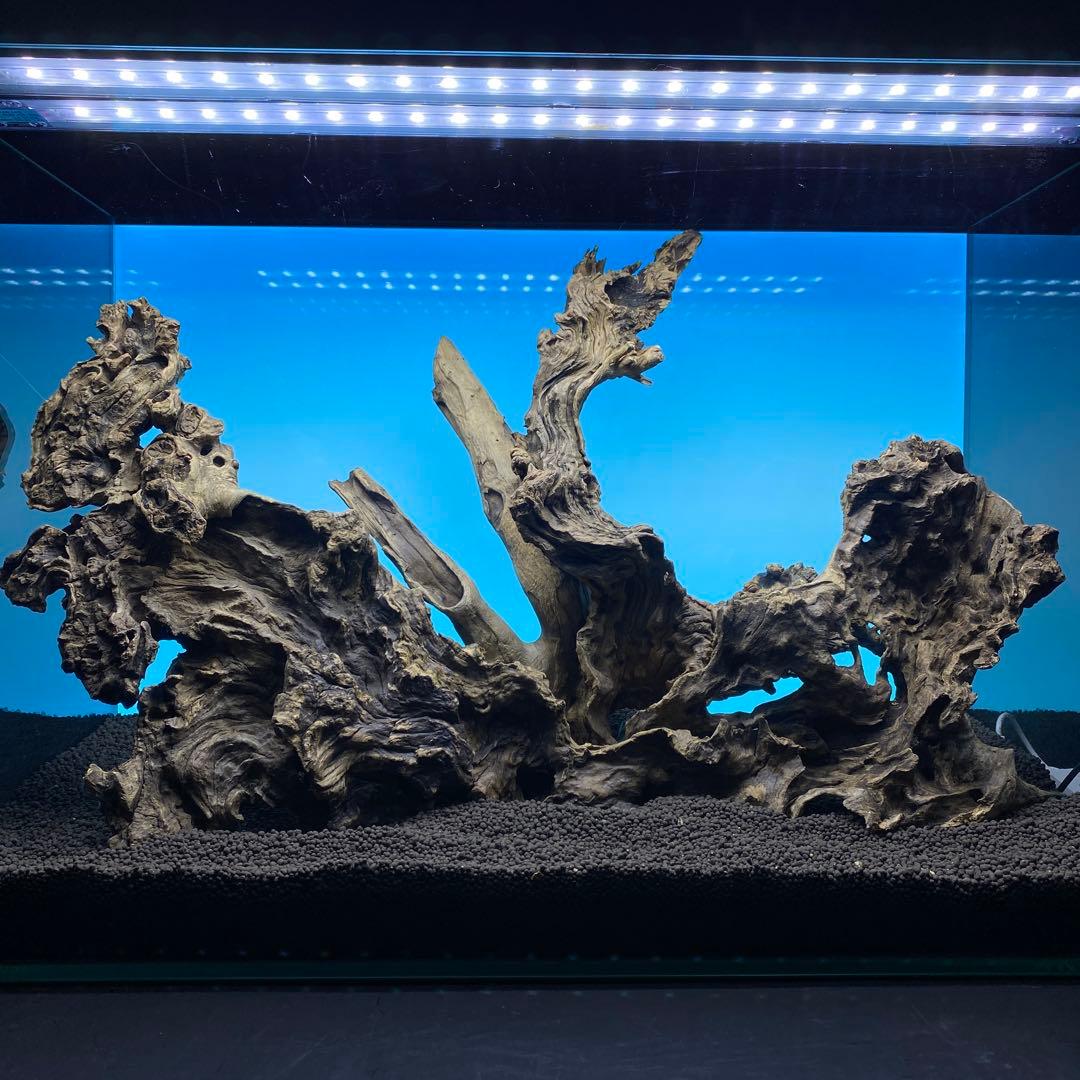 MJW-6614 ジンジャーウッド　レイアウトセット　天然流木　アクアリウム