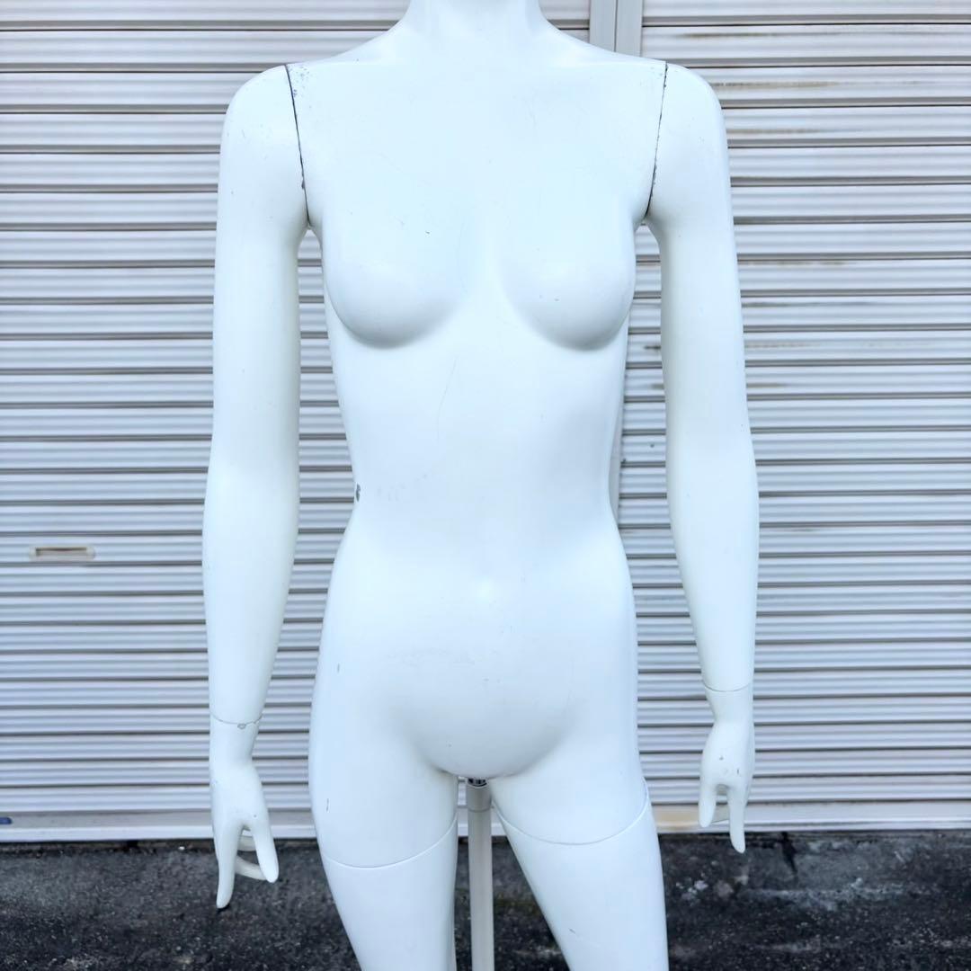パールイデア パール マネキン 全身 トルソー レディース