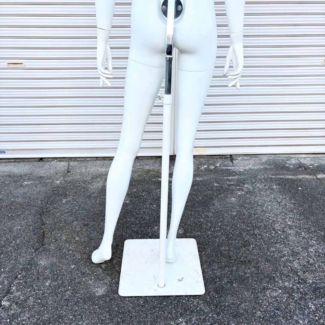 パールイデア パール マネキン 全身 トルソー レディース