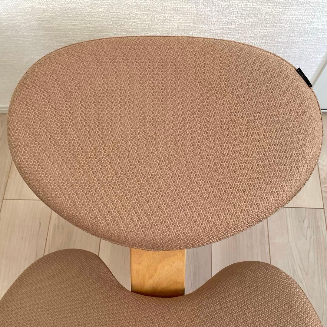 Balans Easy バランスチェア バランスイージー バランスラボ　カバー付