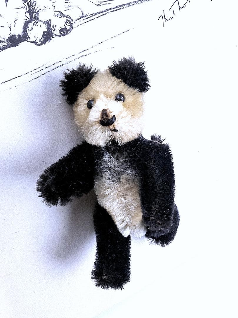 きっとあの子のお友達　ドイツ　こぐま　シュコー　パンダ　 アンティーク　９ｃｍ