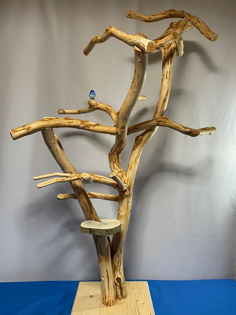 天然木白木バードジム