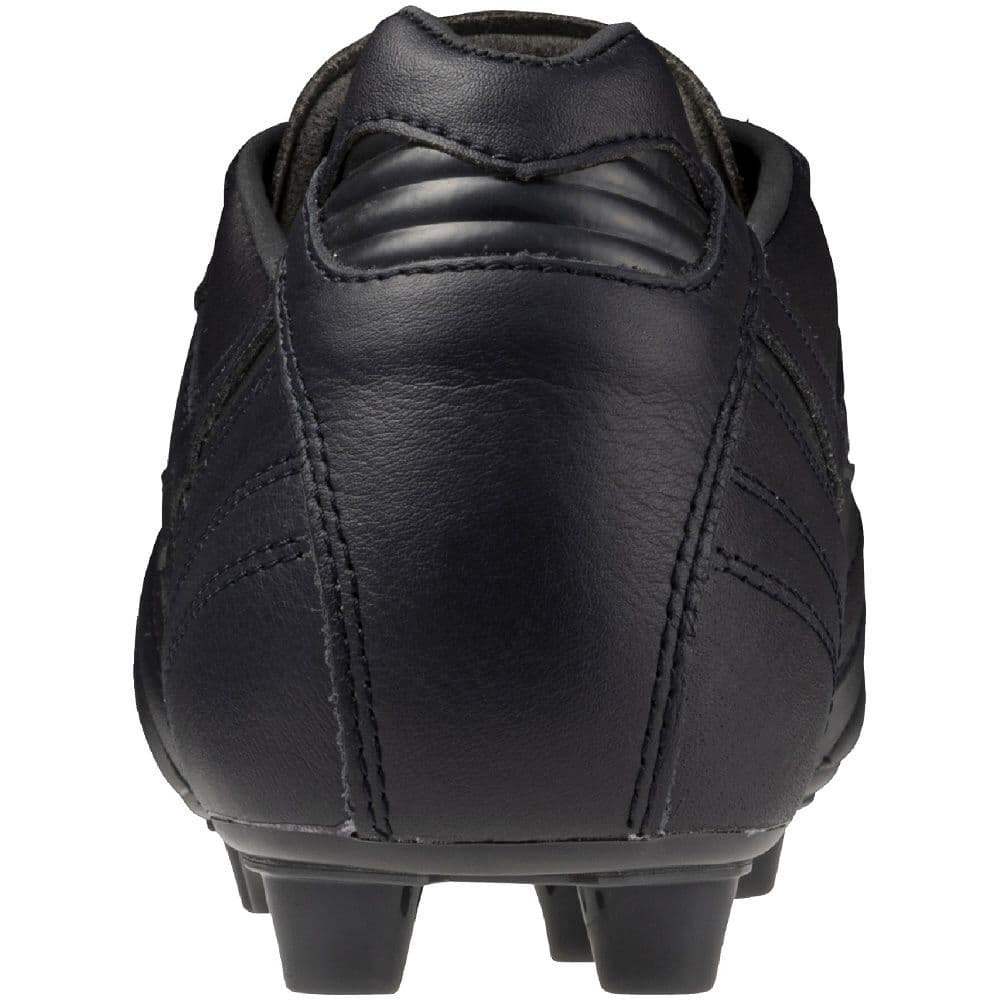 モレリア 2 JAPAN Ltd P1GA255100