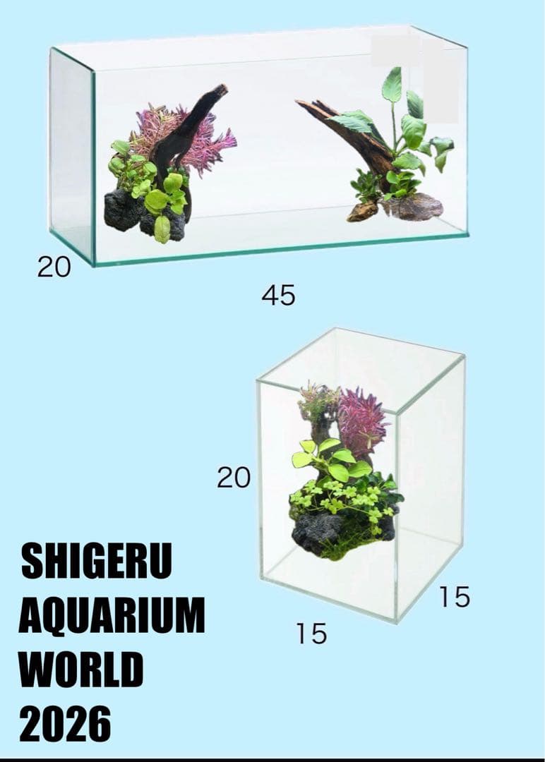 水草茂「shino様オーダー用」