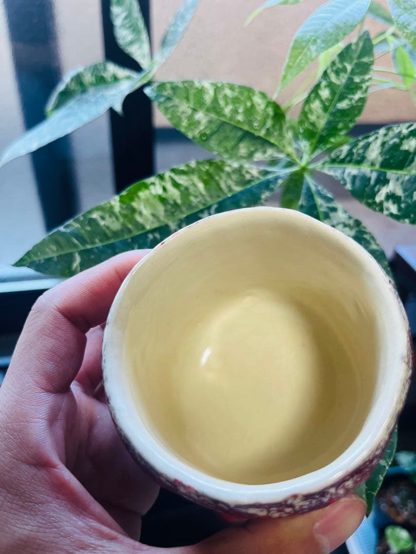 【美品】 【希少】箕面焼　松田箕山作 湯呑み