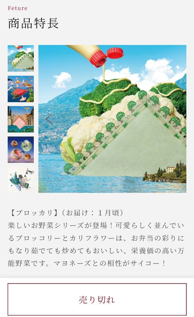 近沢レース 1月　シーズンタオルハンカチ　4枚組　ブロッカリ　ピザ　コンプリート