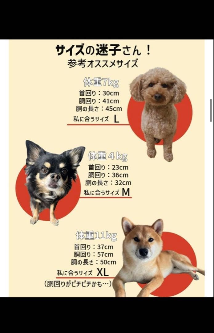 『美品』NANGAダウンジャケットMサイズ