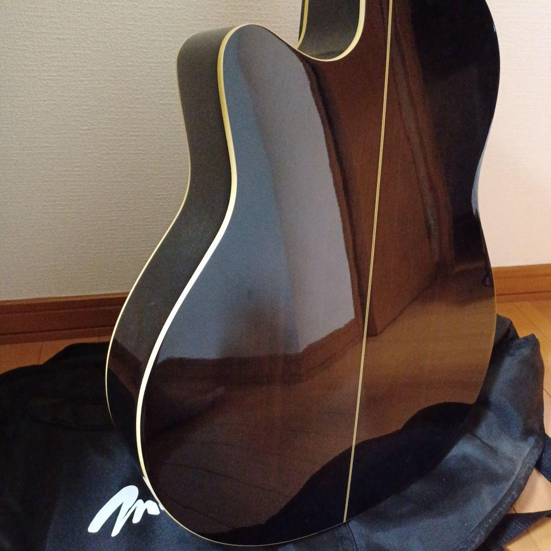 Rumbler by Morris　アコースティック　ギター　ケース