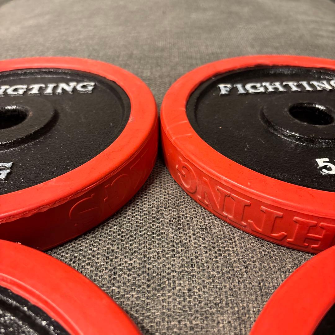 ファイティングロード ダンベルプレート 5kg×4枚（計20kg） 極美品