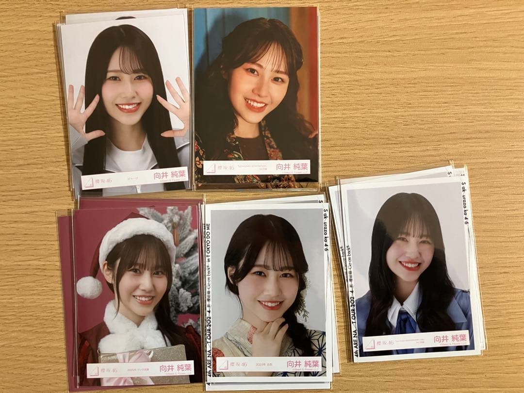 櫻坂46 生写真　向井5コンプ