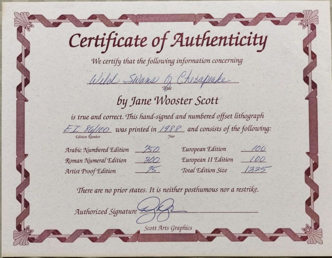 Jane Wooster Scott リトグラフ「チェサピークの野生の白鳥」