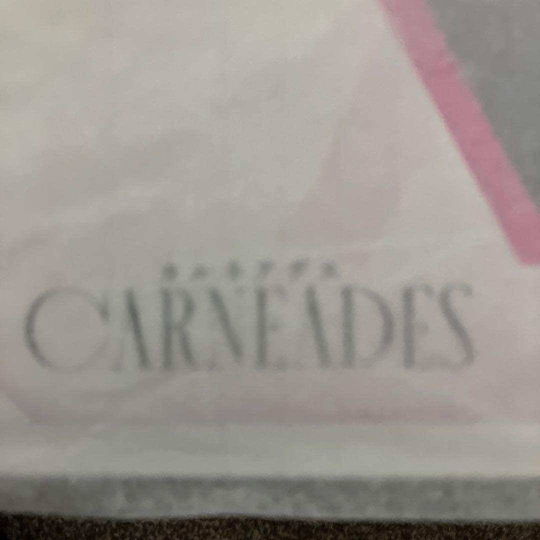 【新品未開封】カルネアデス イヴ カルネアデス設定画Ver WAVE