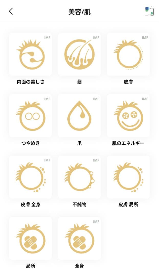 【新品未使用•未開封】定価558,800円　ヒーリープロフェッショナル＋コイル