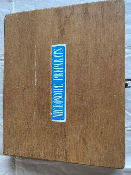 木製プレパラートケース