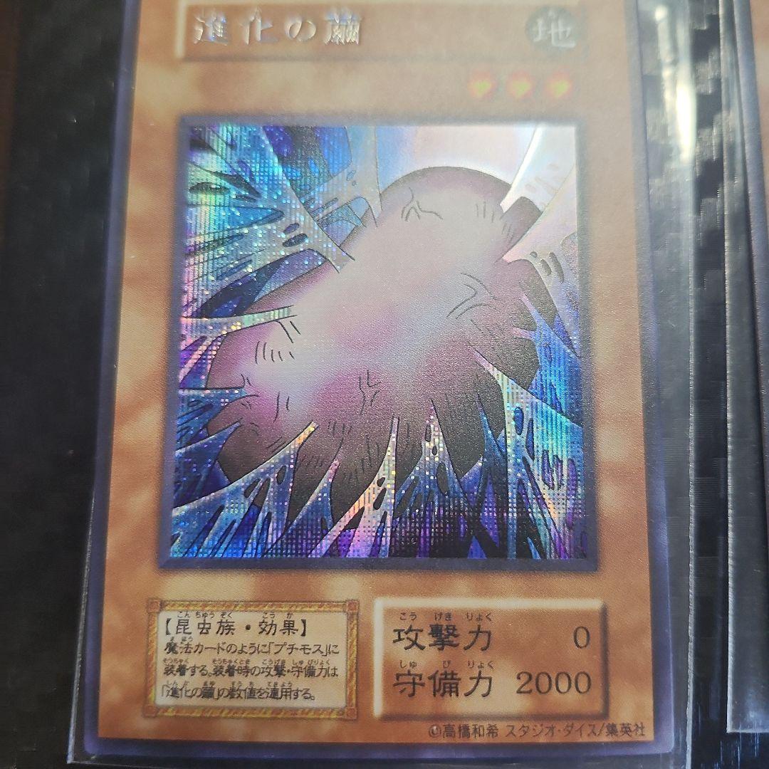 究極完全体グレートモス鑑賞用