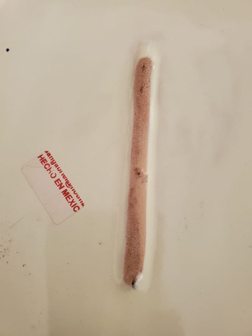 グアダルーペ　皿　メキシコ　マリア