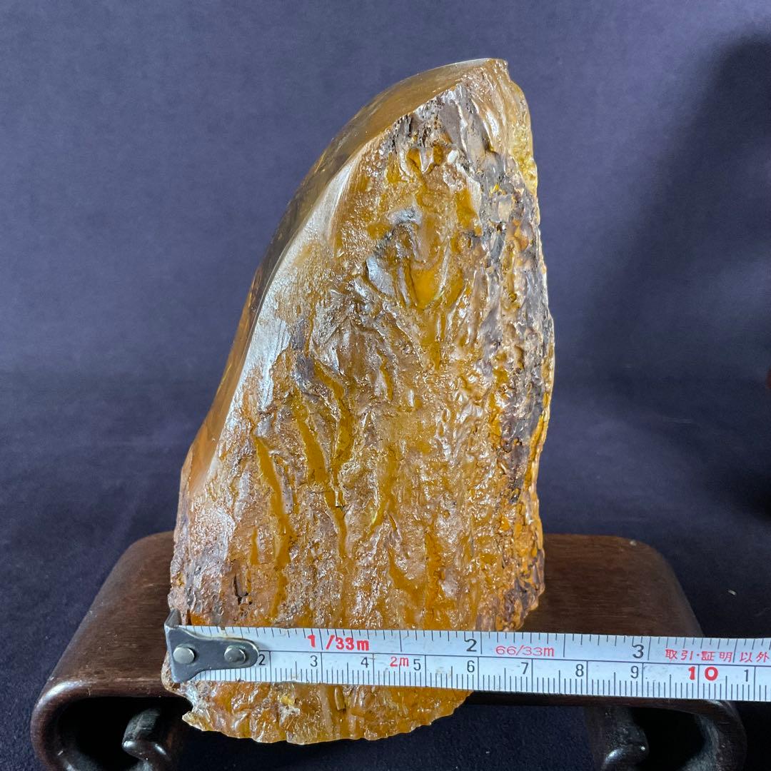 琥珀の中の蝶標本