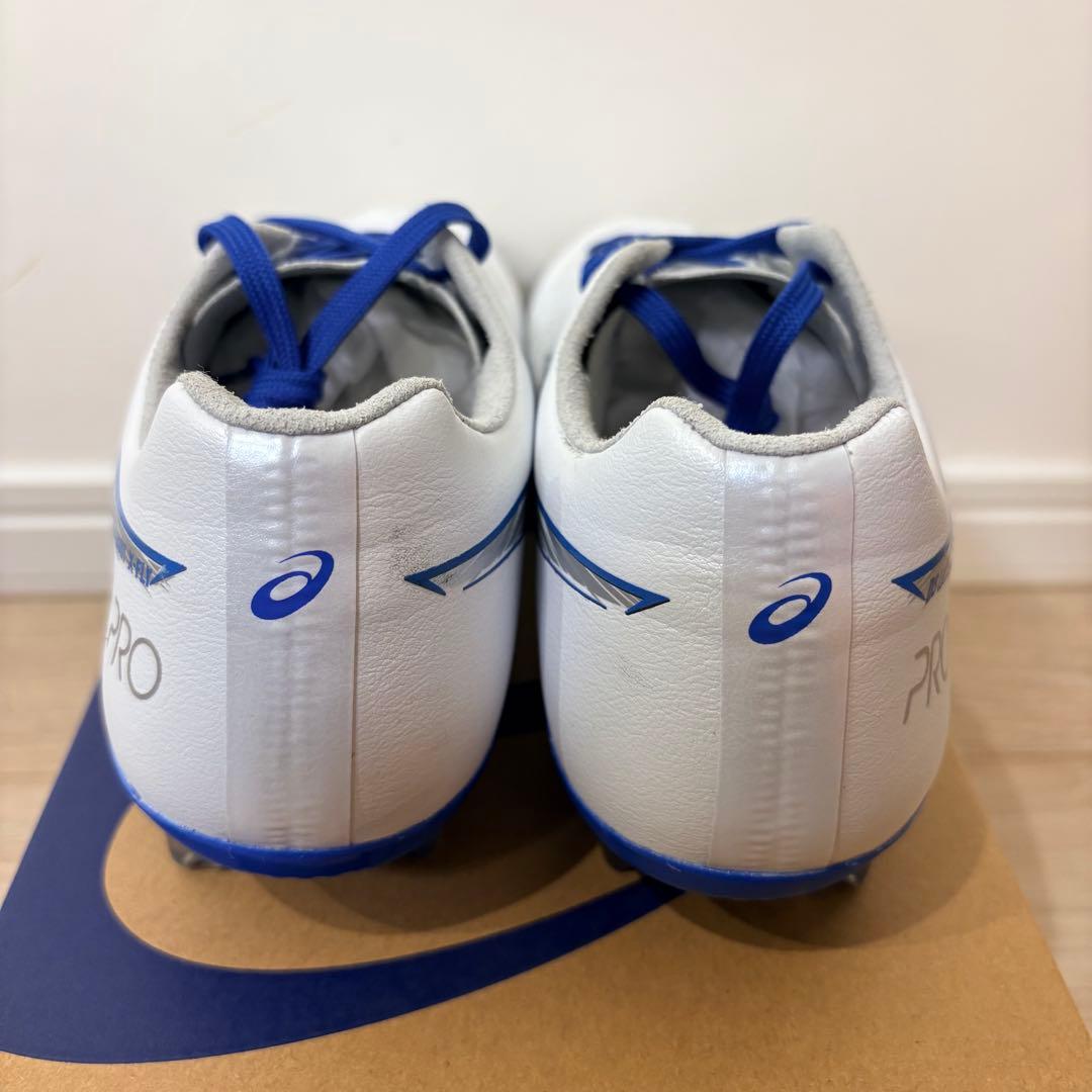 アシックス DS-LIGHT X-FLY PRO3 （25.0㎝）