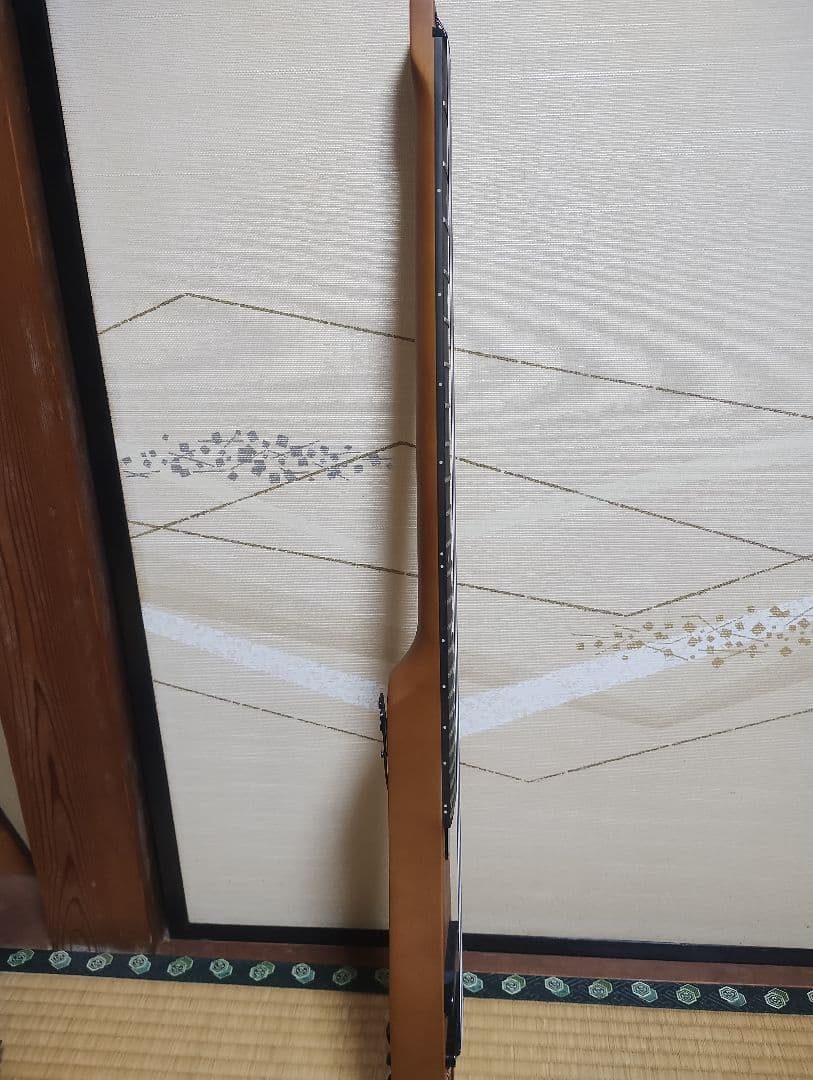 【美品】Anygig エニーギグ トラベルギター エレキギター