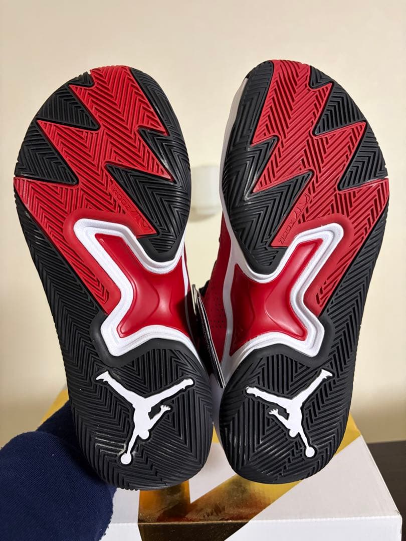 【未使用】AIR JORDAN RETRO MAX LOW G 25.5cm