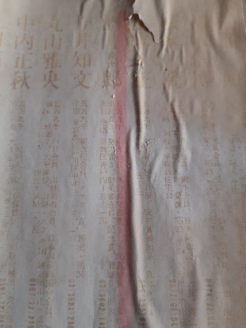 ト*ー様 酒井良太郎　秋溪　湯川溪谷　 油彩画 　F8号