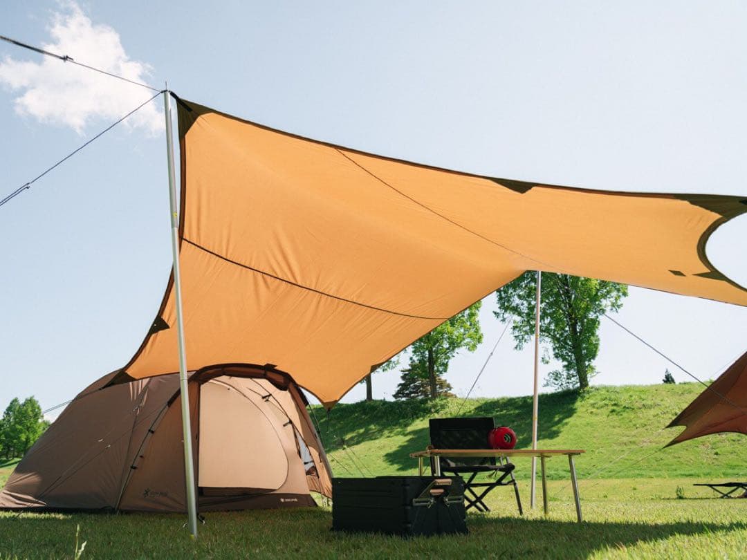 新品 スノーピーク エルフィールド ヘキサ タープ Pro.air 雪峰祭 限定