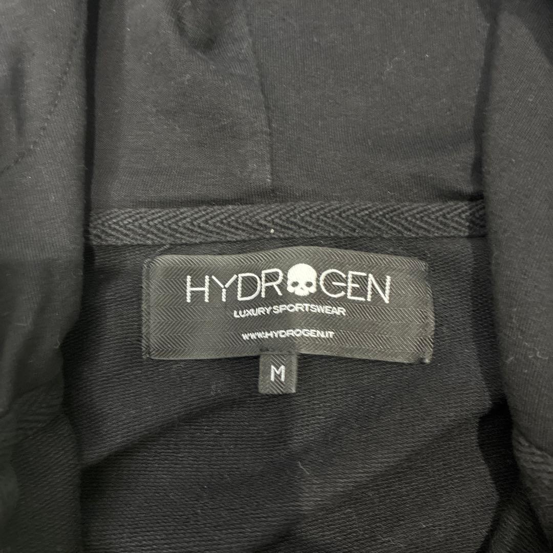 ハイドロゲン セットアップ