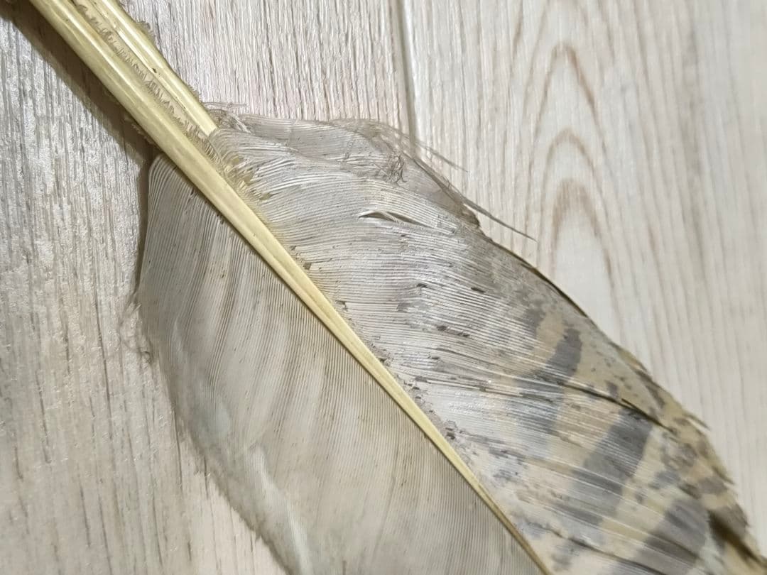 ​茶道具 羽帚（はぼうき） 三ツ羽 天然羽 箱入り羽箒